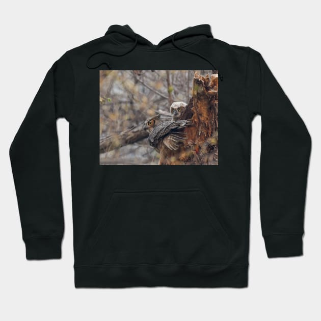 Great Horned Owl Watches For Danger With an Owlet At Its Nest Hoodie by jbbarnes